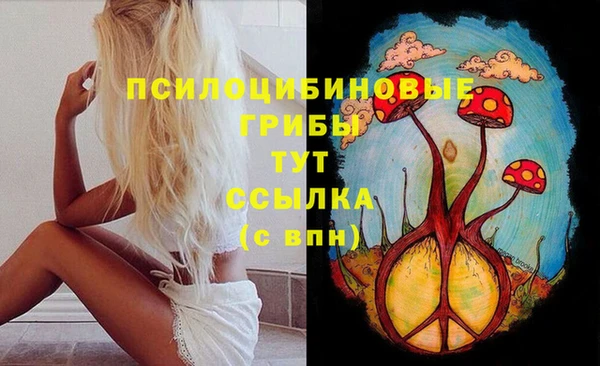 первитин Вяземский
