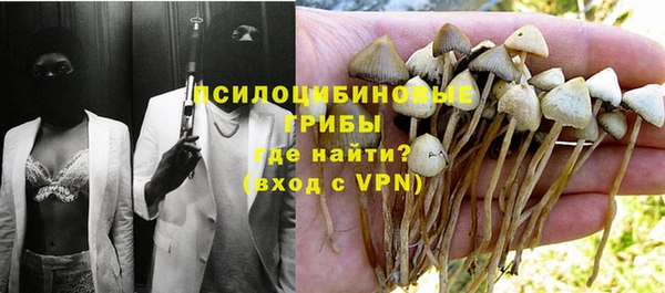 мдпв Вязники